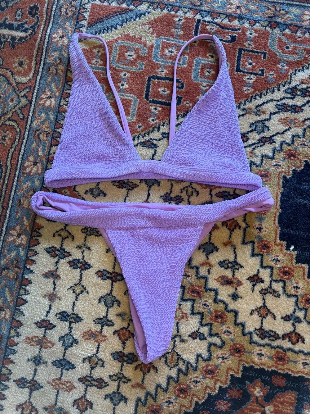 Las Olas Purple Bikini